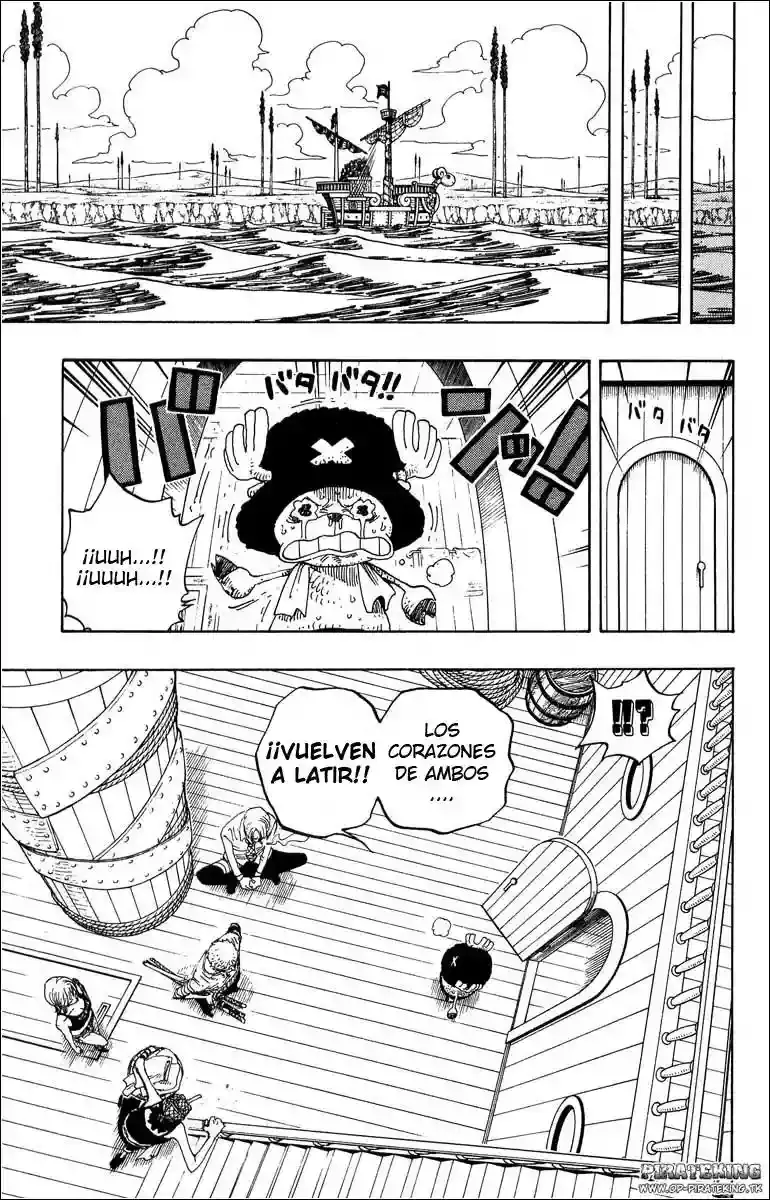 One Piece capítulo 321 página 16