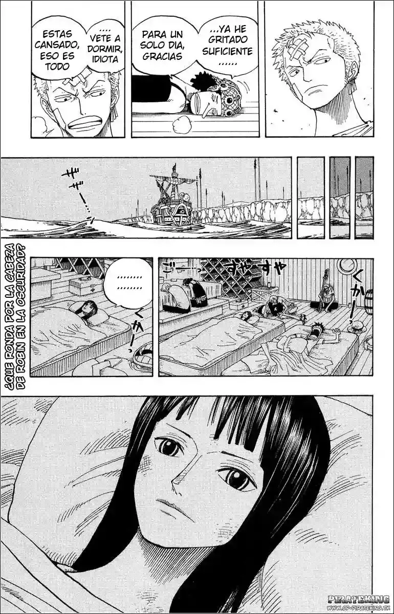 One Piece capítulo 321 página 18