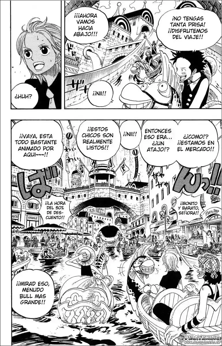 One Piece capítulo 324 página 10