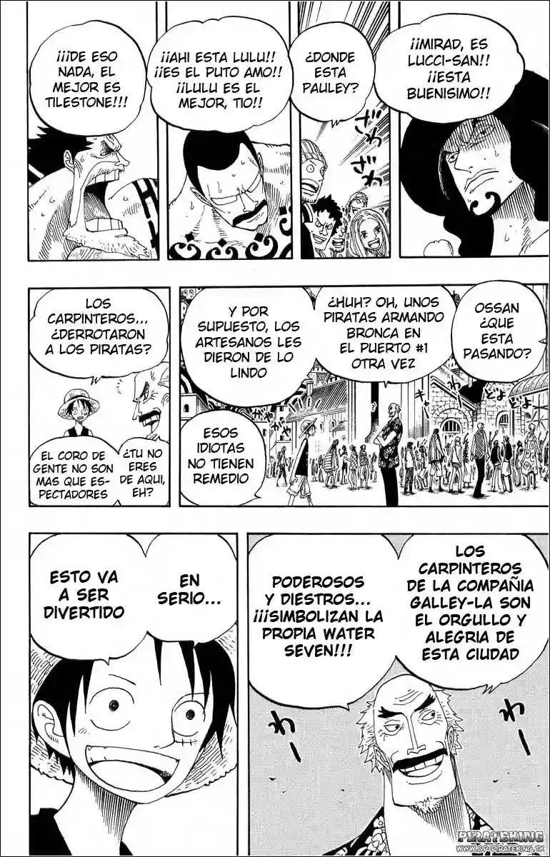 One Piece capítulo 324 página 17