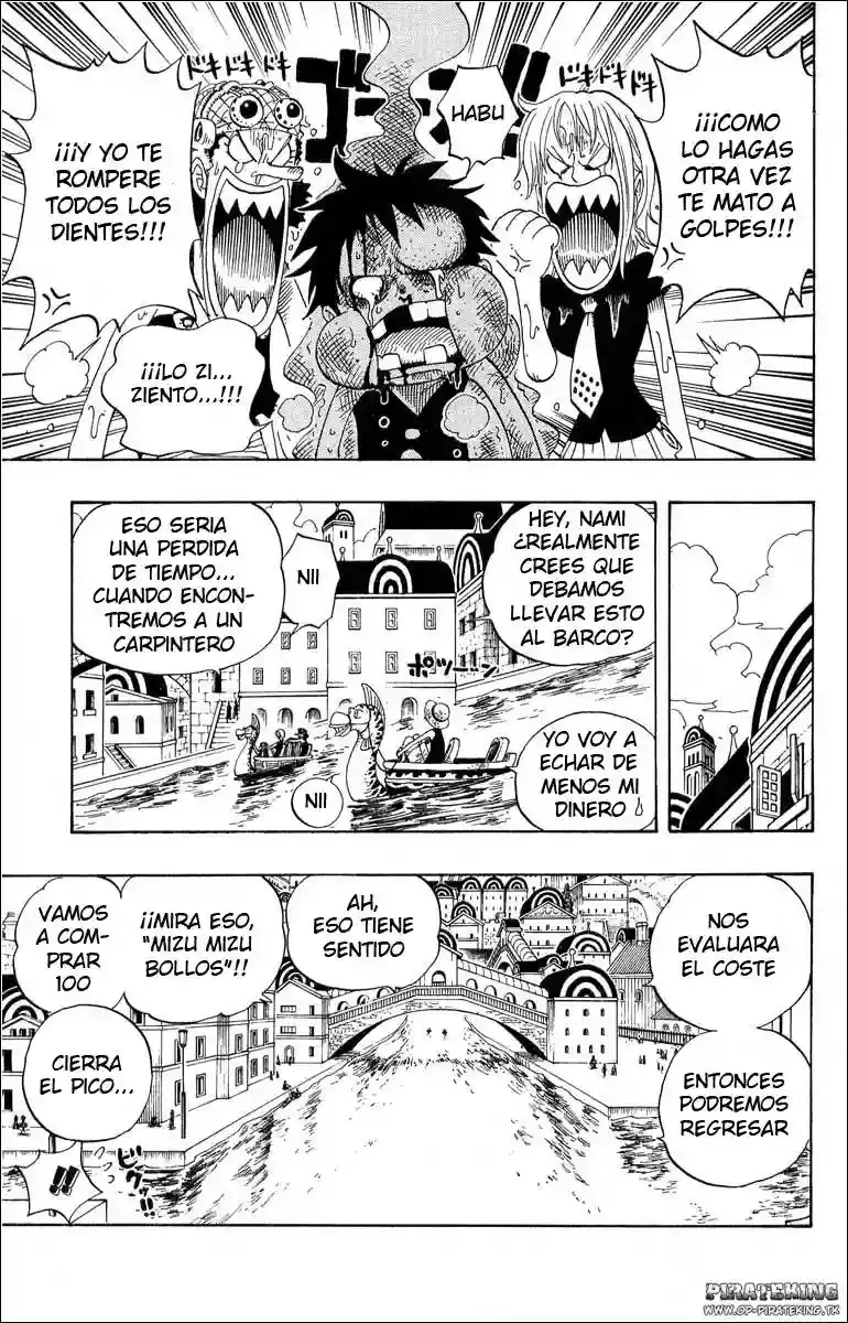 One Piece capítulo 325 página 13