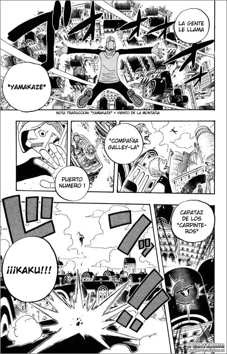 One Piece capítulo 325 página 19
