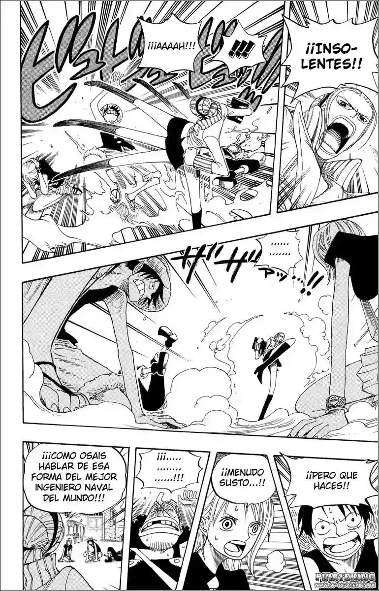 One Piece capítulo 326 página 10