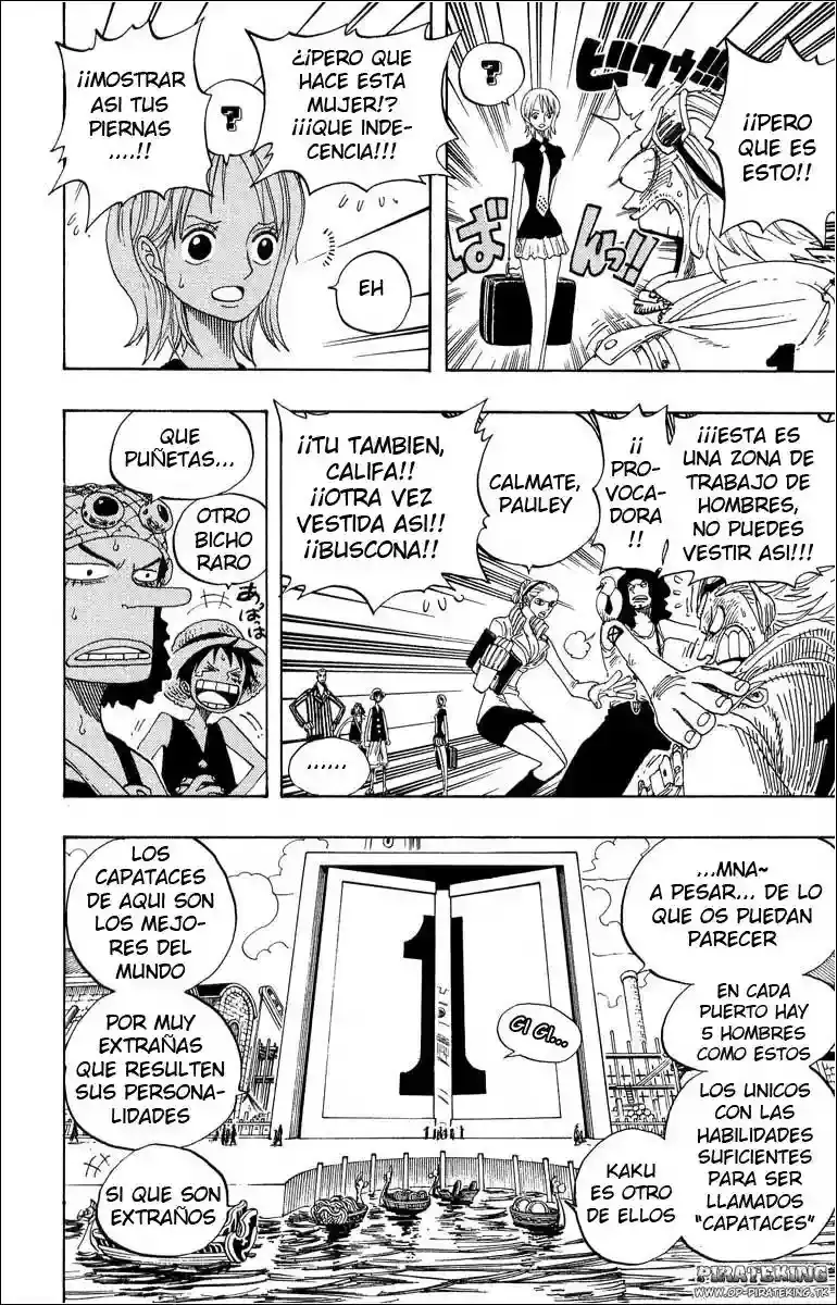 One Piece capítulo 327 página 13