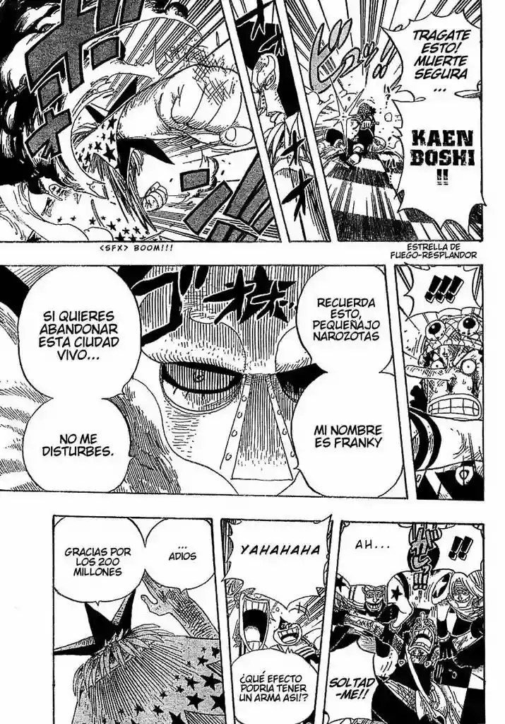 One Piece capítulo 329 página 13
