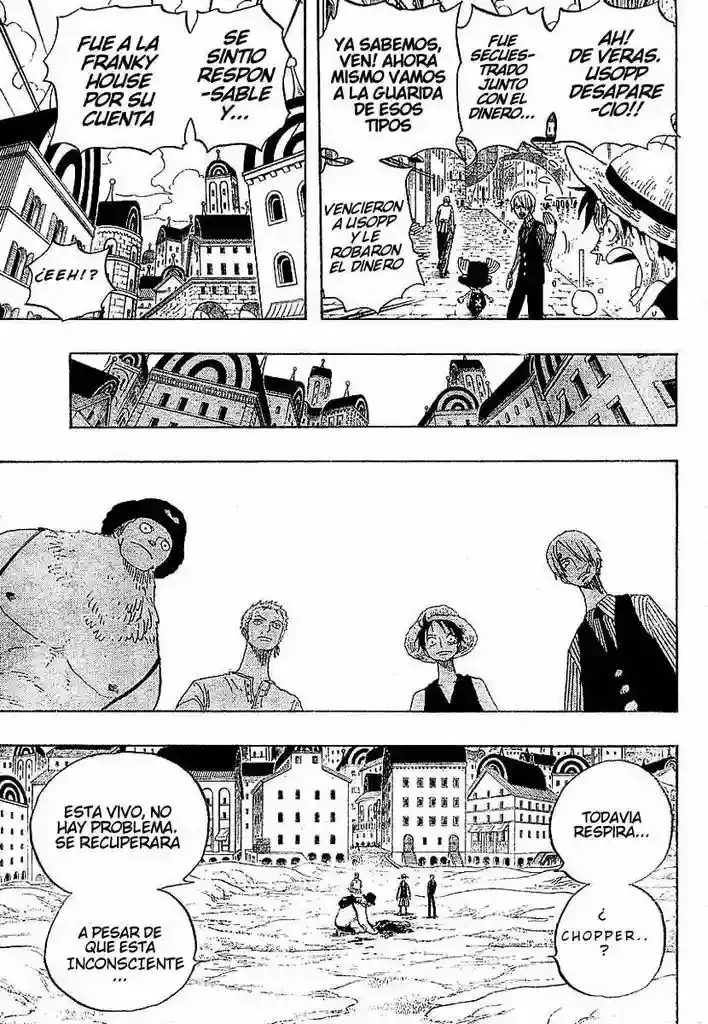 One Piece capítulo 329 página 17