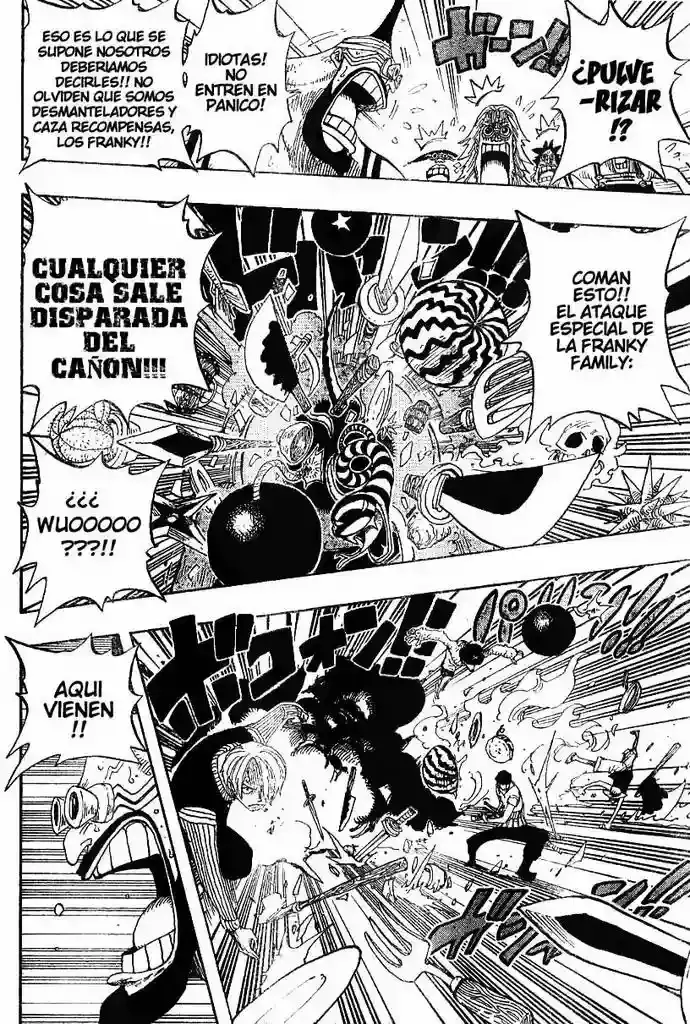 One Piece capítulo 330 página 13