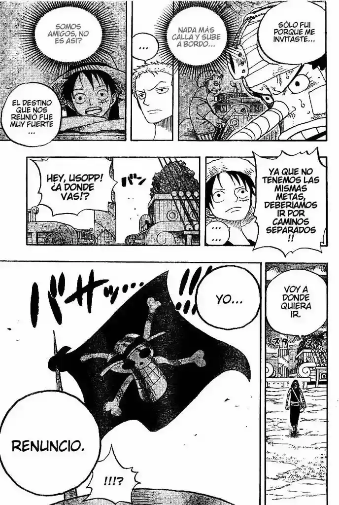 One Piece capítulo 331 página 17
