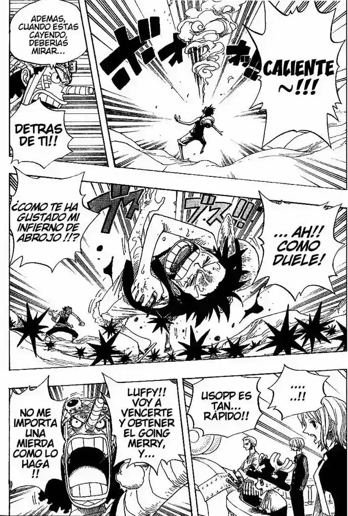 One Piece capítulo 332 página 13