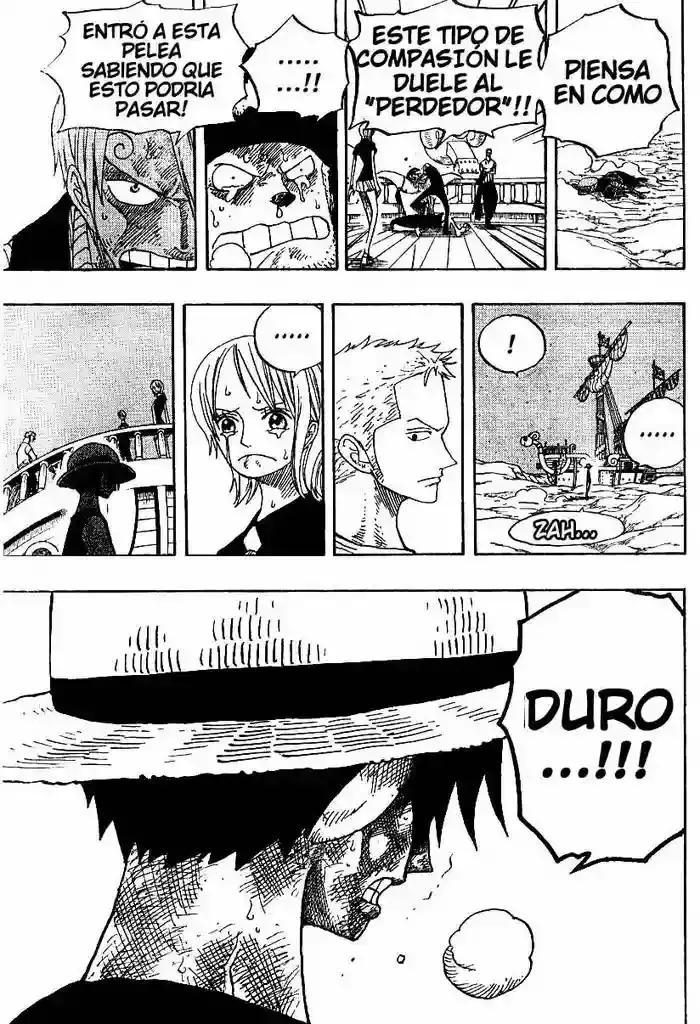 One Piece capítulo 333 página 17