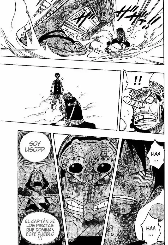 One Piece capítulo 333 página 9