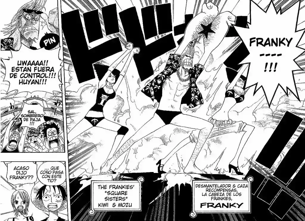 One Piece capítulo 335 página 14