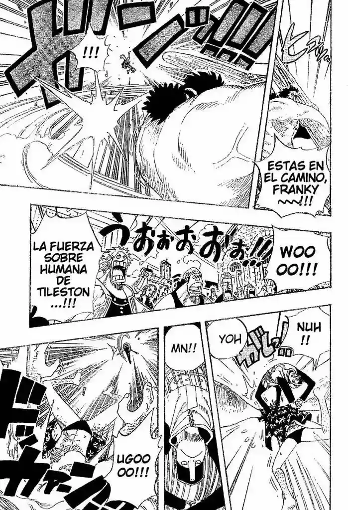 One Piece capítulo 337 página 11