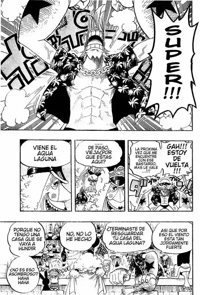 One Piece capítulo 339 página 15
