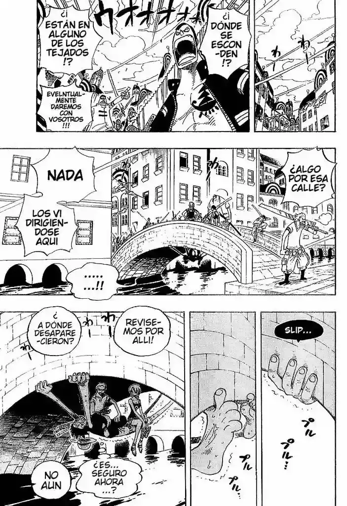 One Piece capítulo 340 página 17