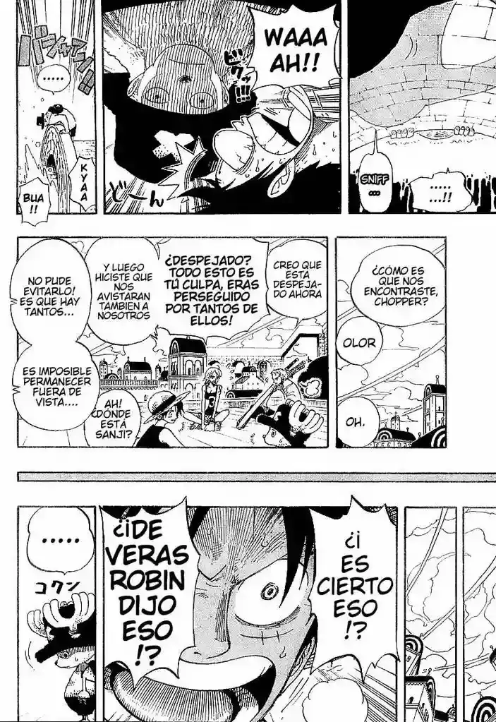 One Piece capítulo 340 página 18