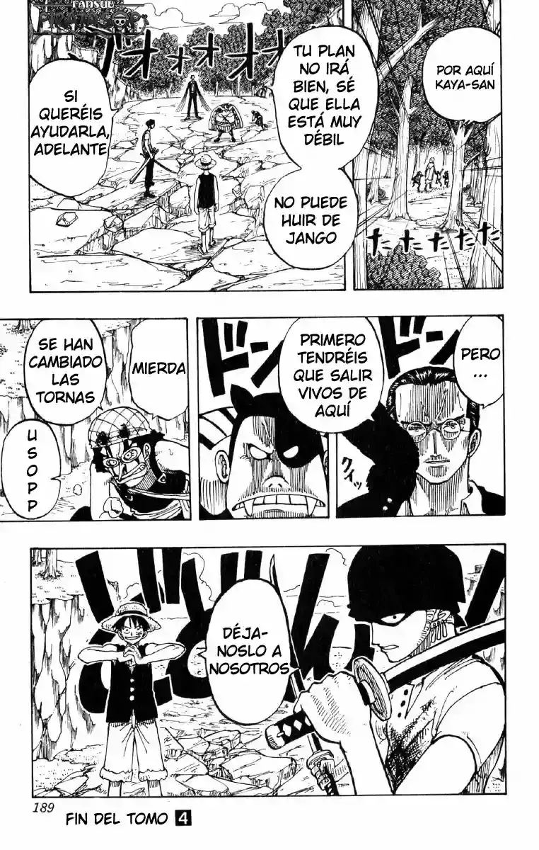 One Piece capítulo 35 página 19