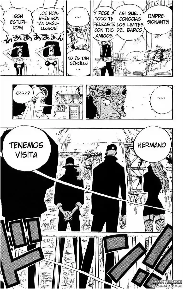 One Piece capítulo 351 página 19