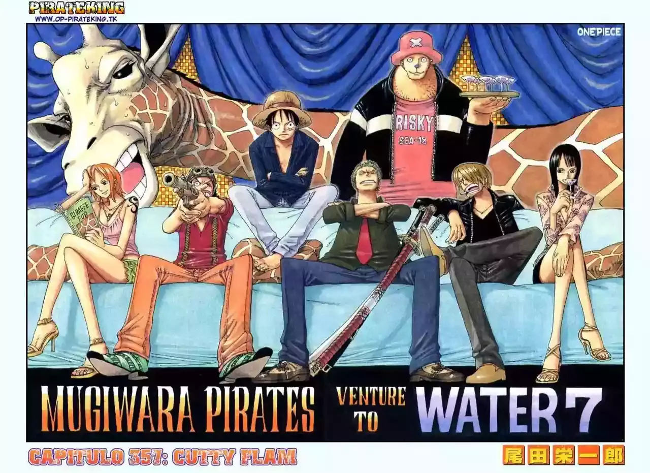 One Piece capítulo 357 página 28