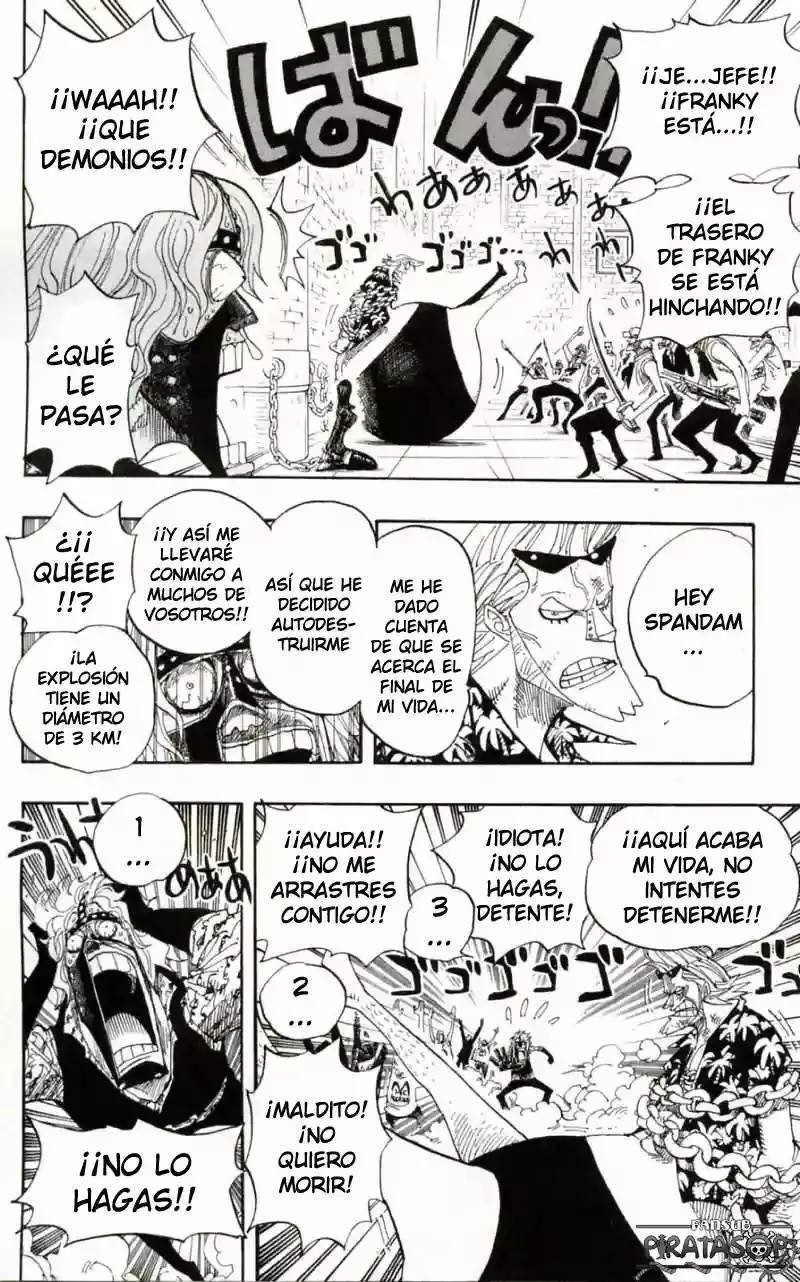 One Piece capítulo 389 página 13