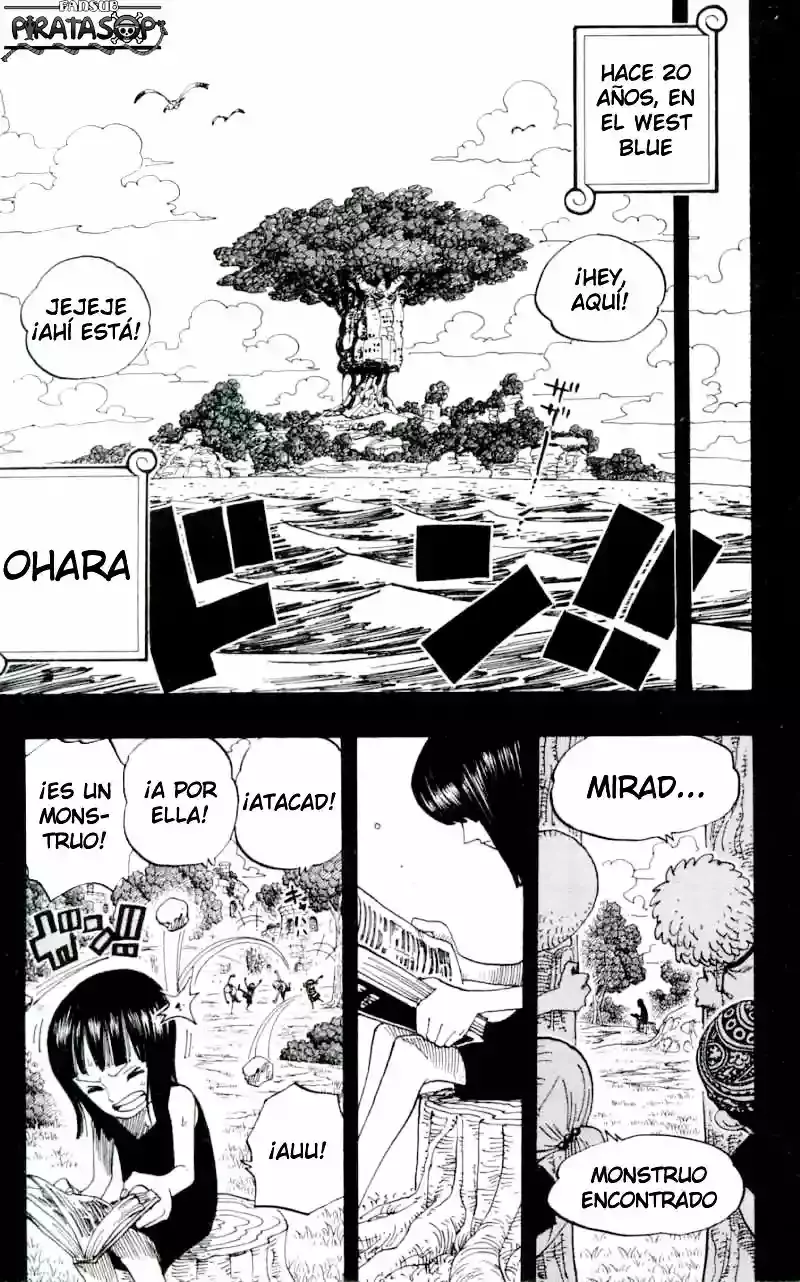 One Piece capítulo 391 página 13
