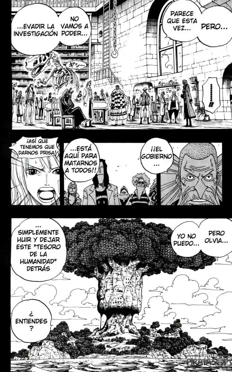 One Piece capítulo 393 página 12