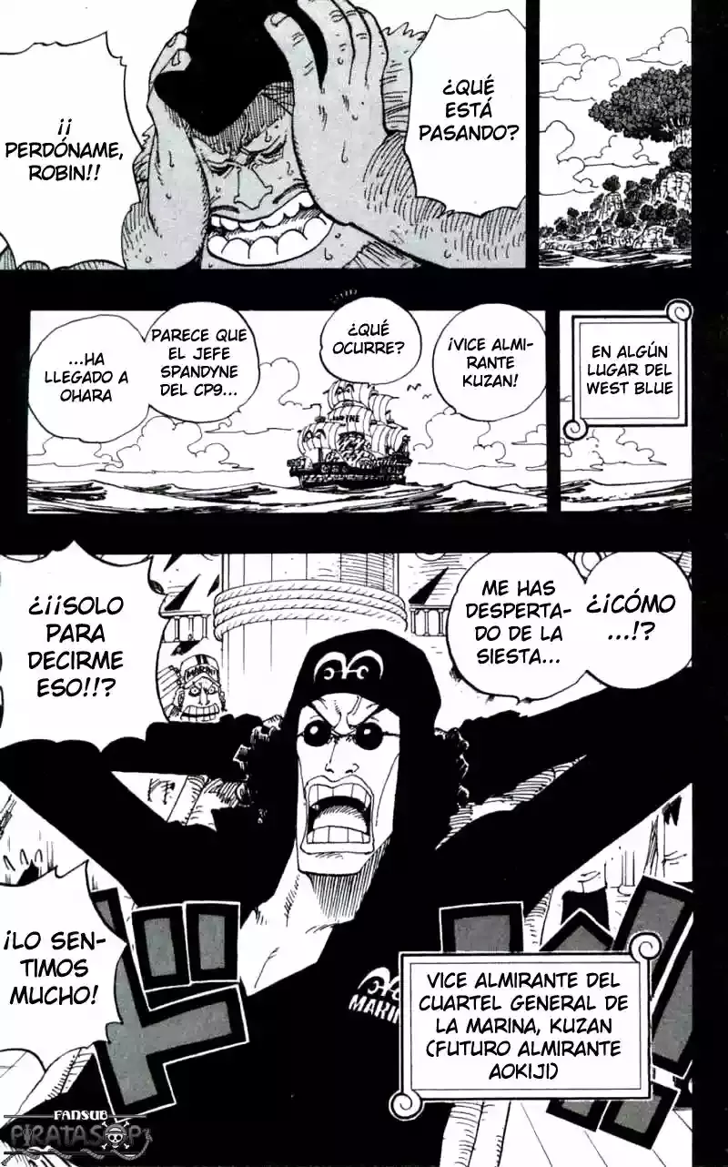 One Piece capítulo 393 página 19
