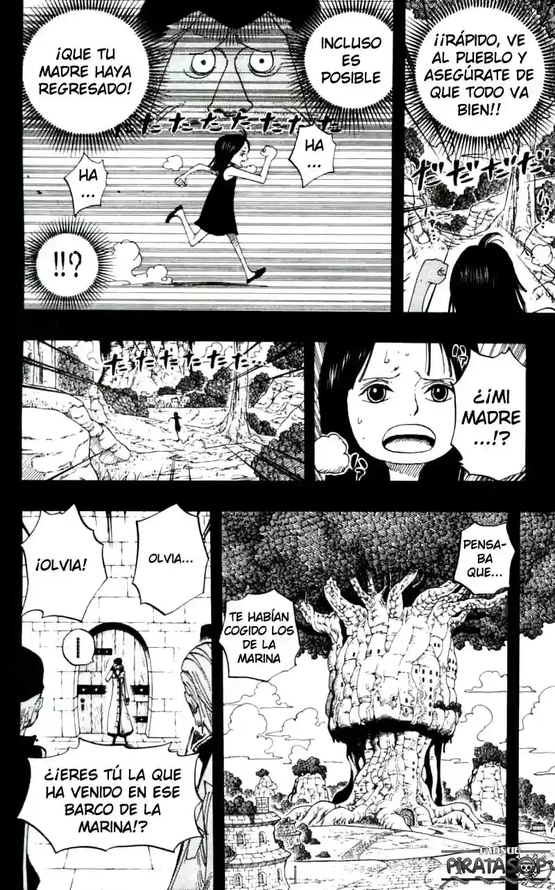 One Piece capítulo 393 página 8