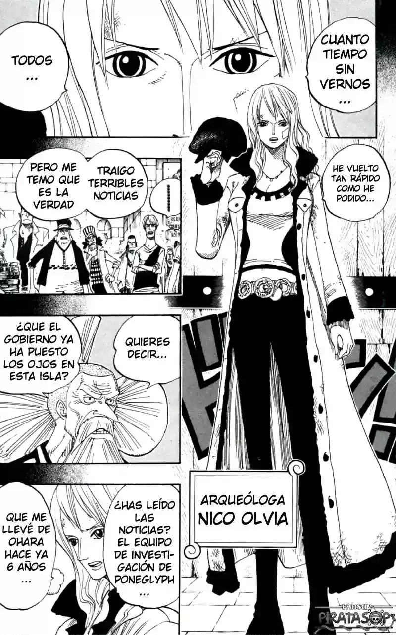 One Piece capítulo 393 página 9