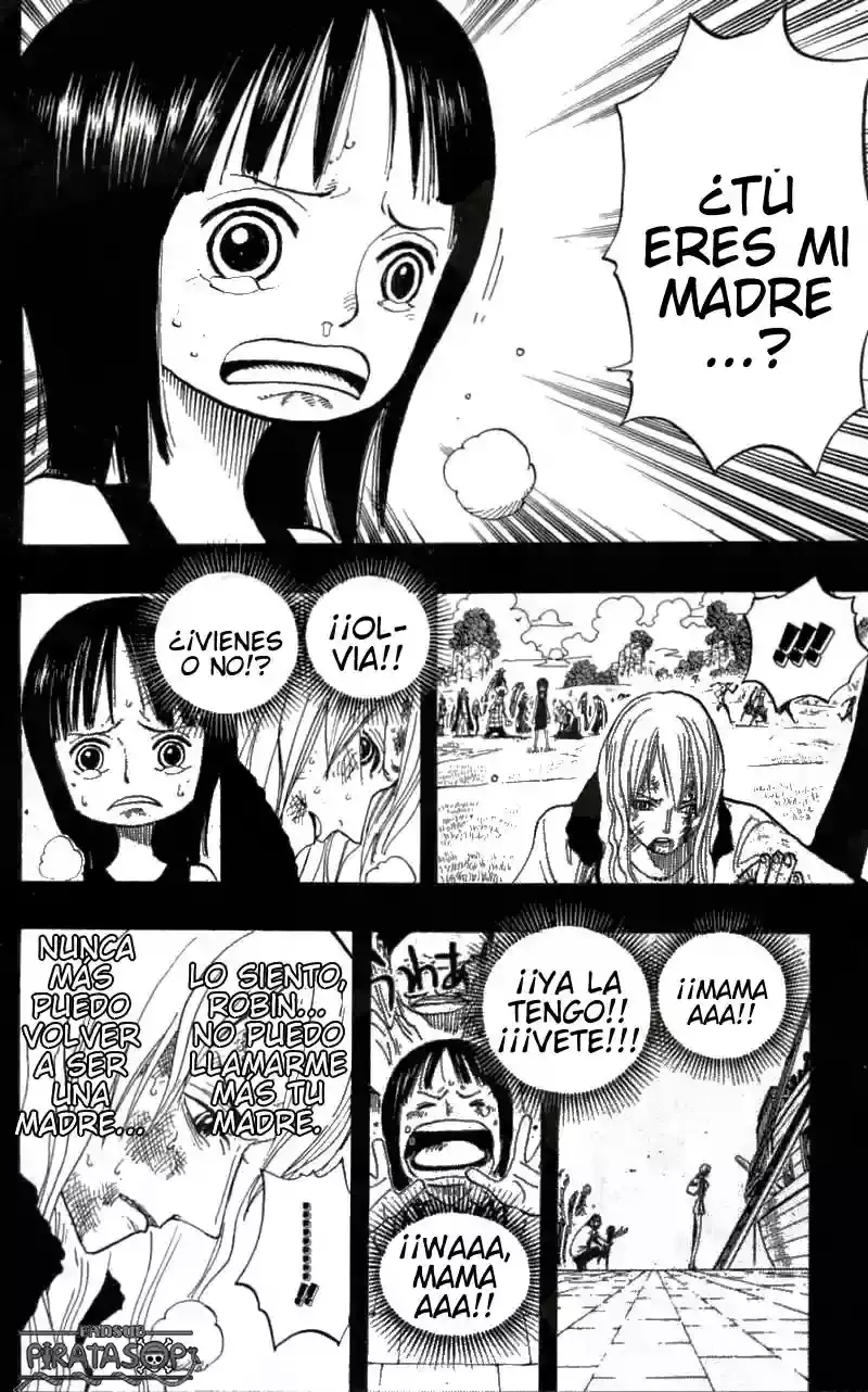 One Piece capítulo 395 página 14