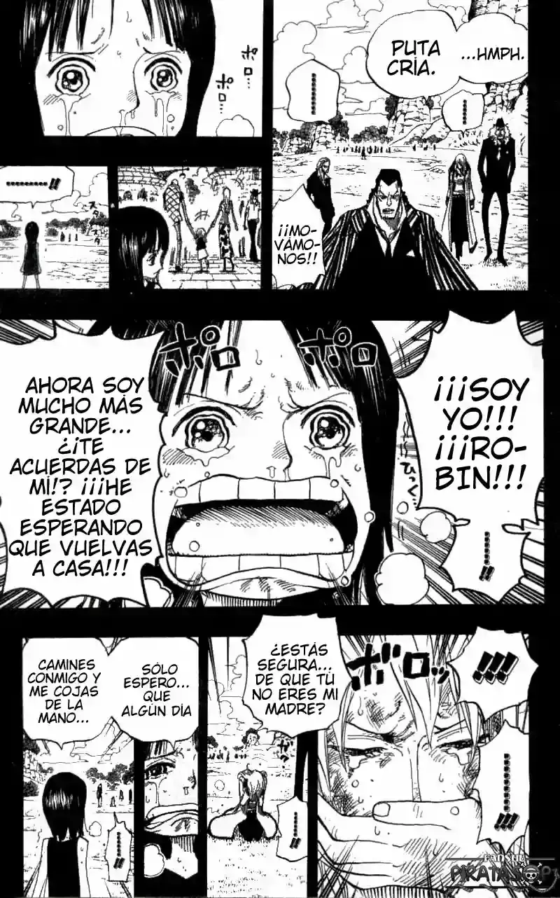 One Piece capítulo 395 página 17