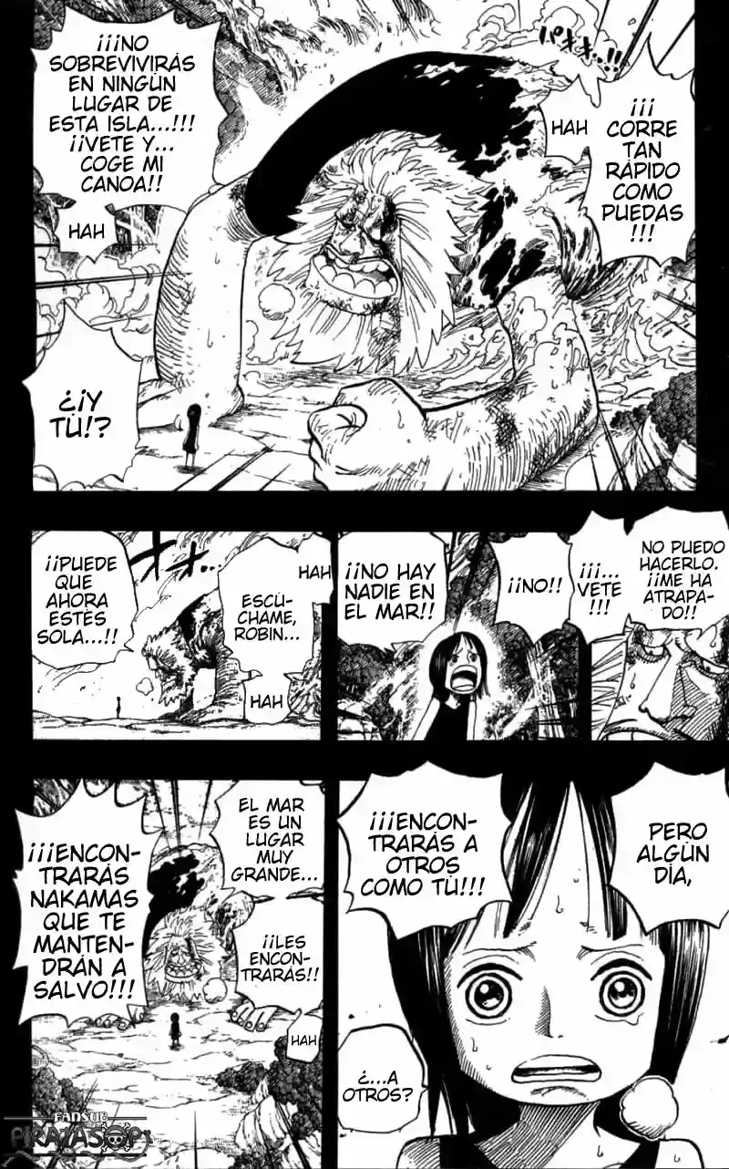 One Piece capítulo 397 página 14