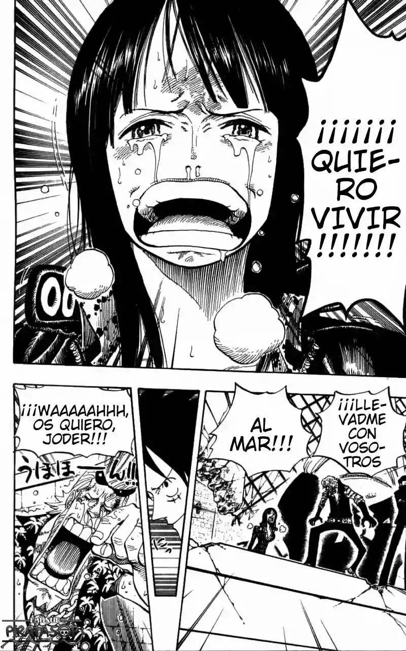 One Piece capítulo 398 página 17