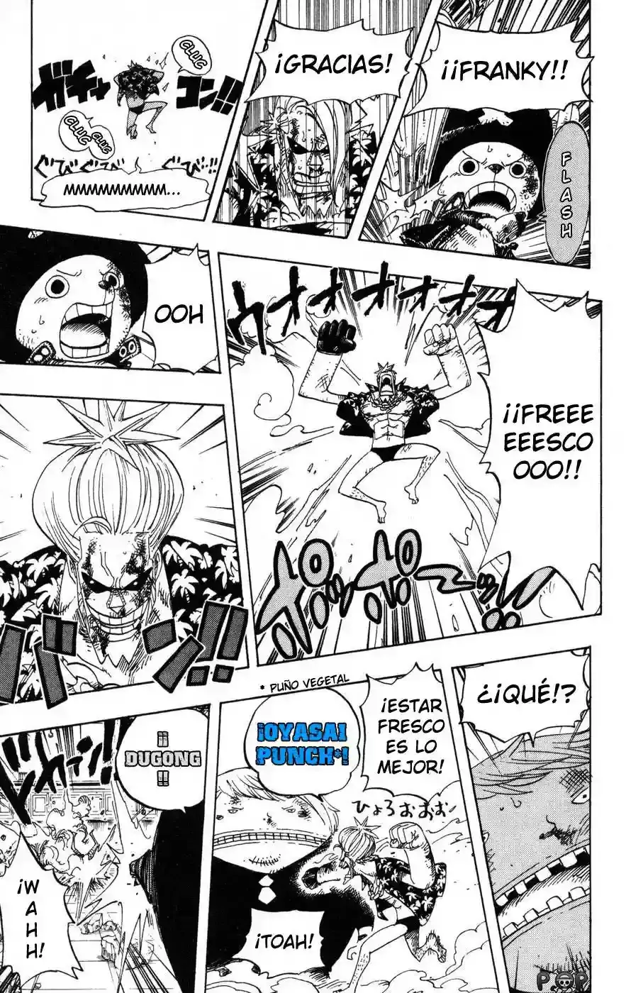 One Piece capítulo 404 página 15