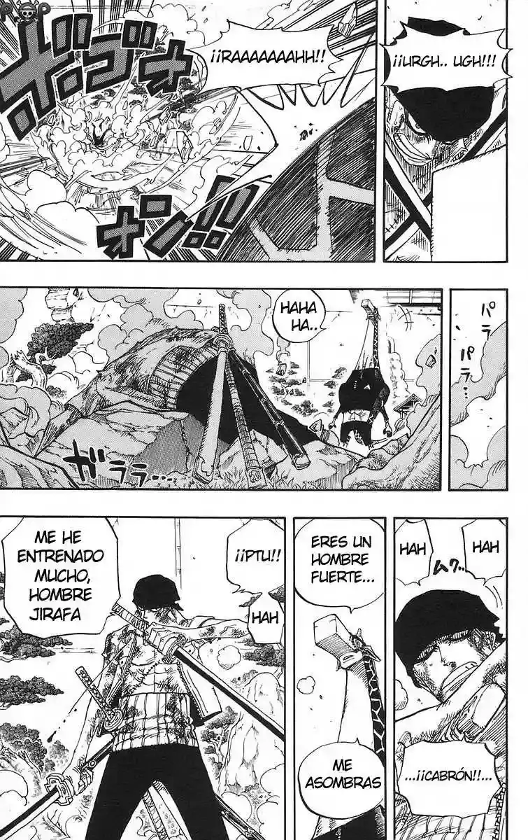One Piece capítulo 416 página 15
