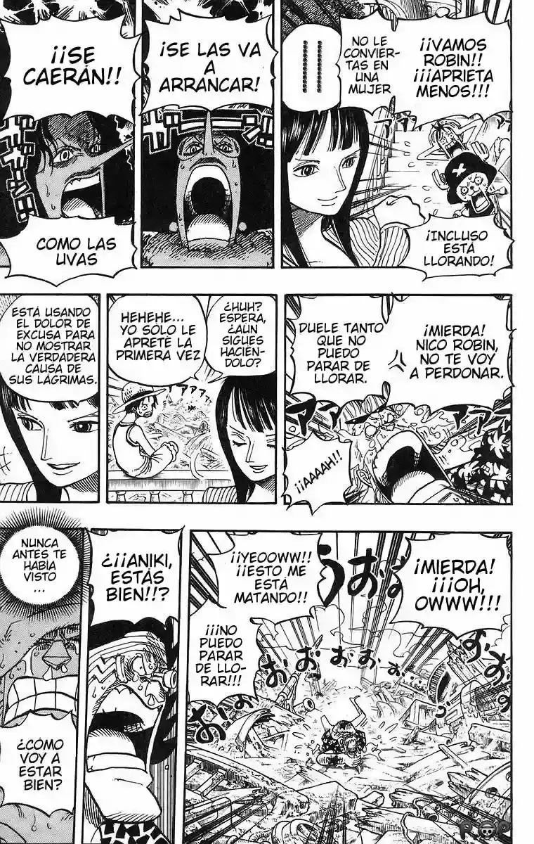 One Piece capítulo 437 página 13