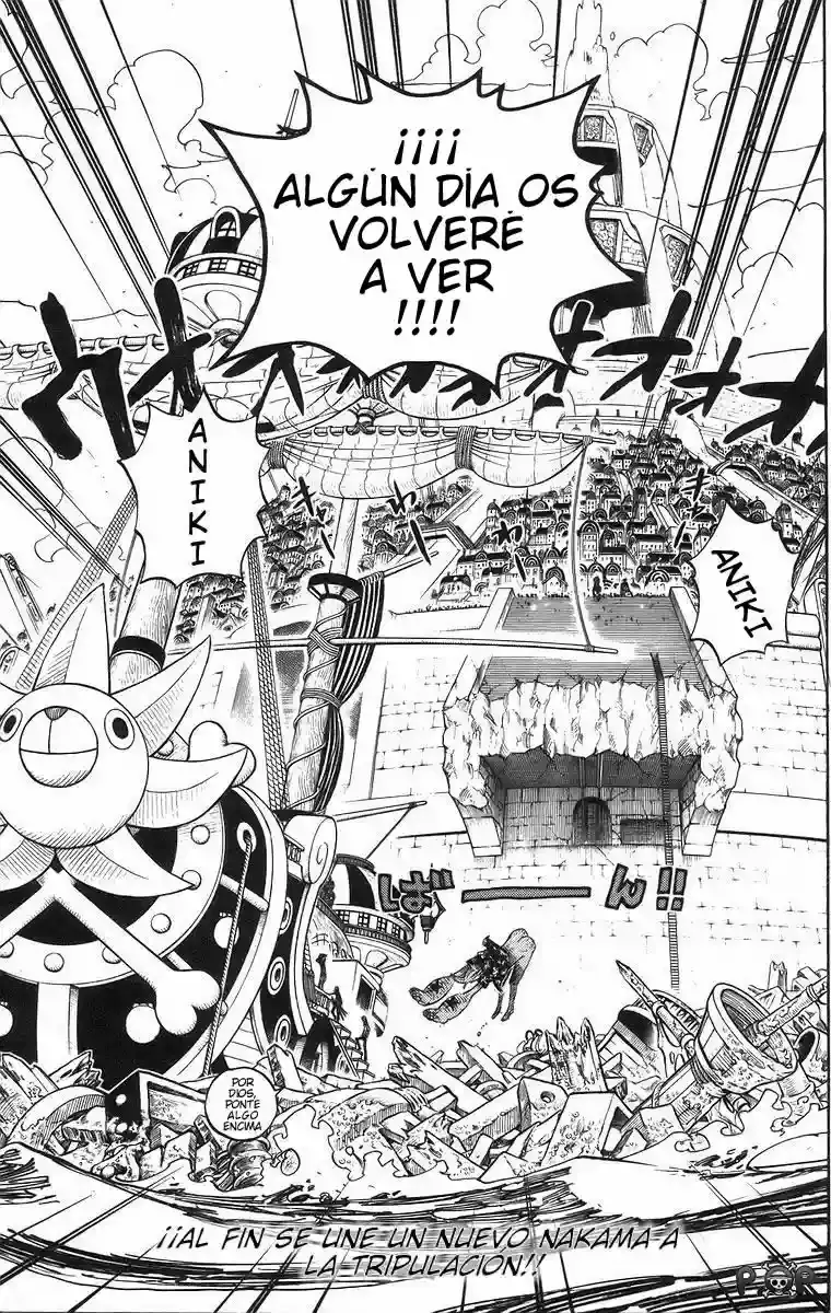 One Piece capítulo 437 página 19