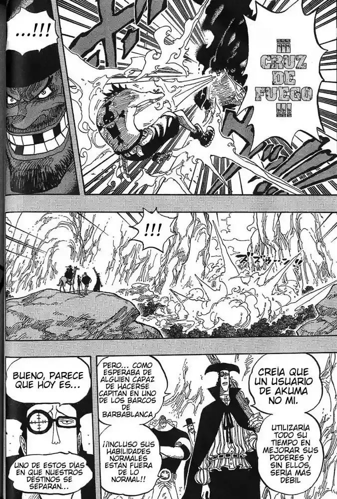 One Piece capítulo 441 página 14