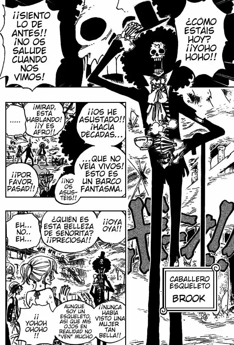 One Piece capítulo 442 página 16