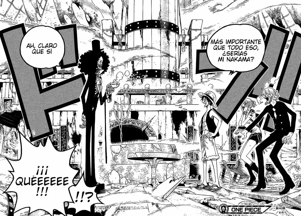 One Piece capítulo 442 página 18