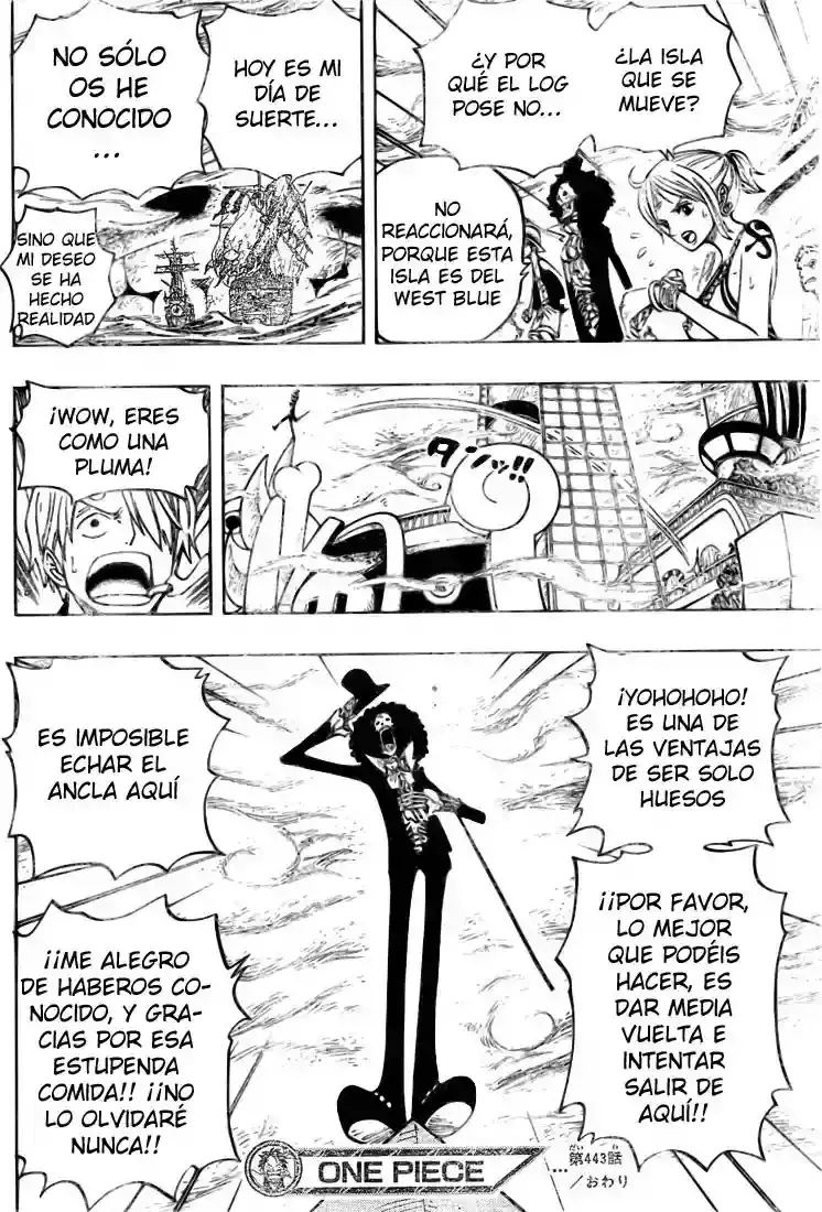 One Piece capítulo 443 página 17
