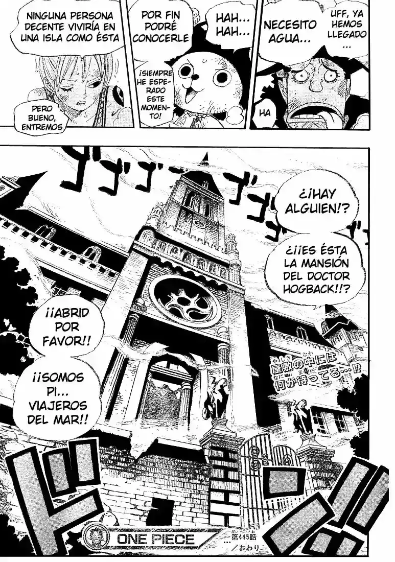 One Piece capítulo 445 página 19