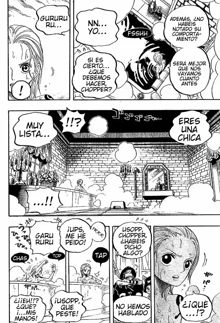 One Piece capítulo 446 página 13