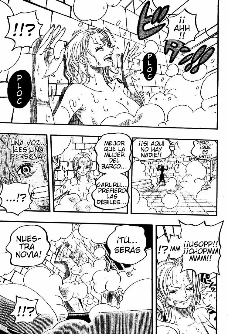 One Piece capítulo 446 página 14