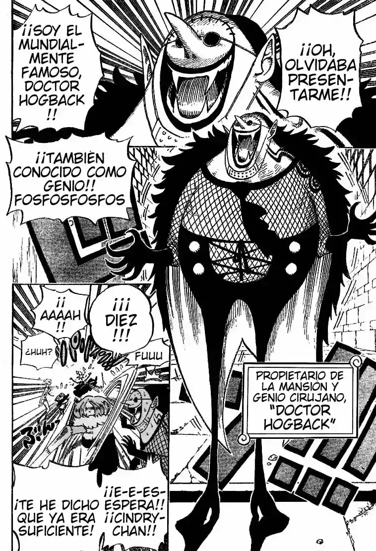 One Piece capítulo 446 página 5