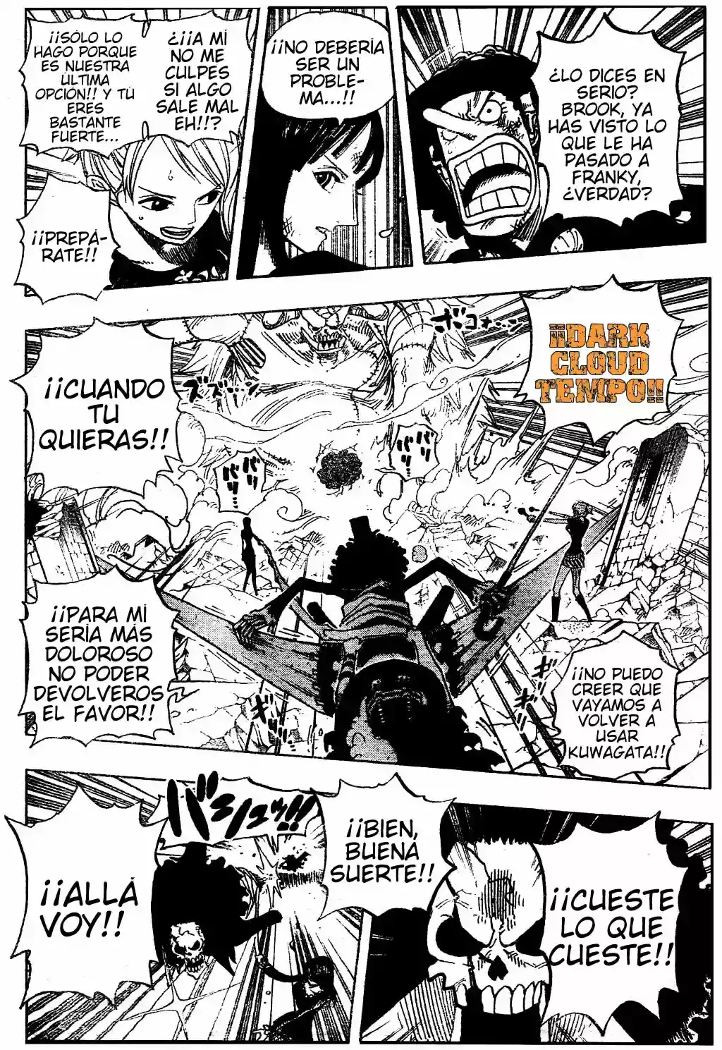 One Piece capítulo 476 página 13