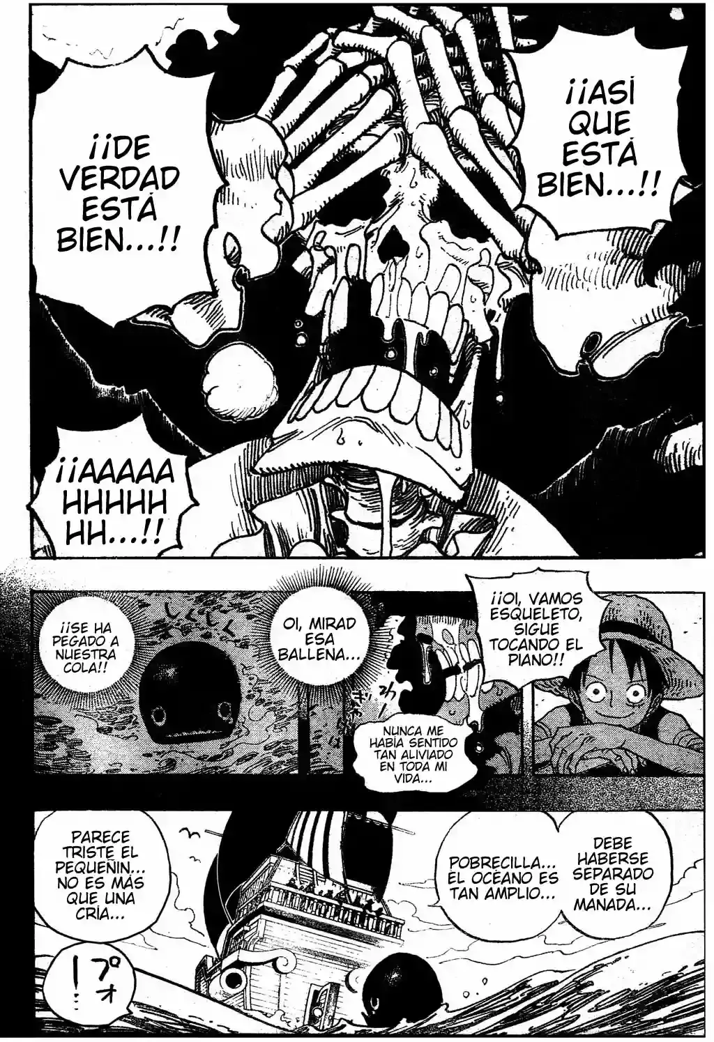 One Piece capítulo 486 página 18