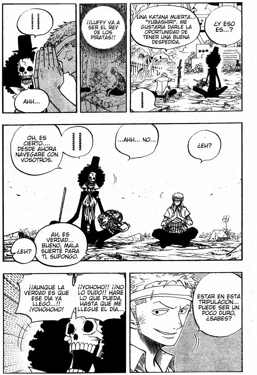 One Piece capítulo 489 página 12