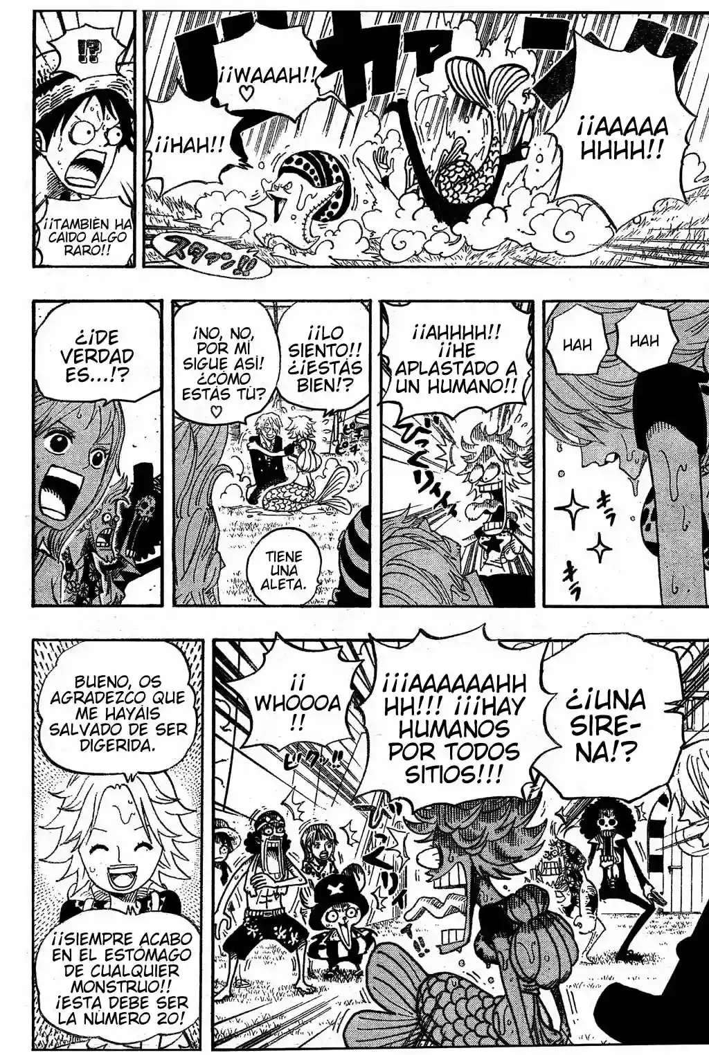 One Piece capítulo 490 página 17