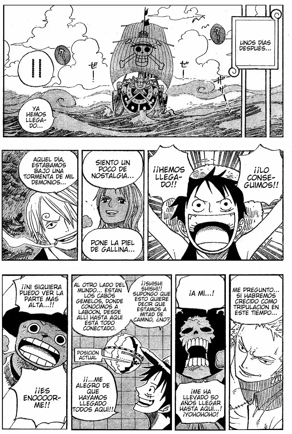 One Piece capítulo 490 página 9
